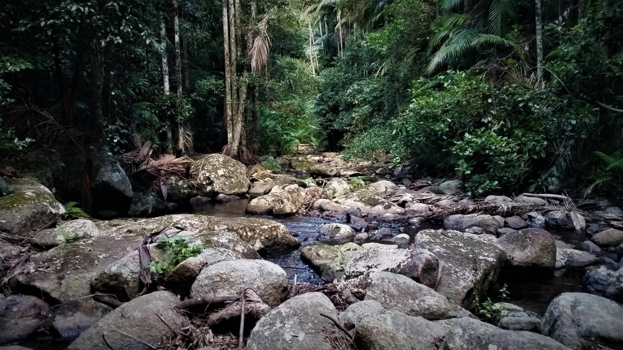 Bellthorpe Stays Maleny Exterior photo