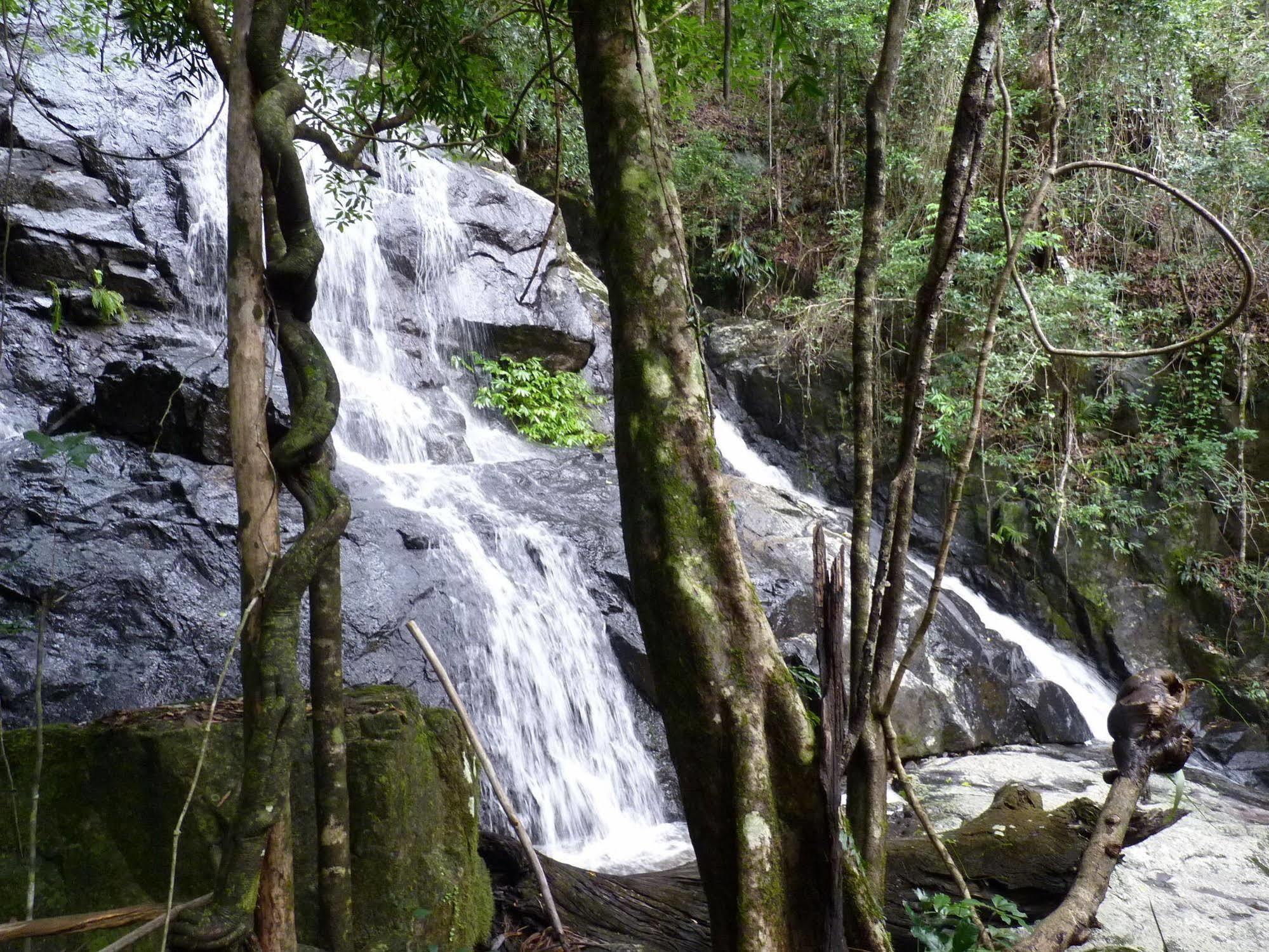 Bellthorpe Stays Maleny Exterior photo