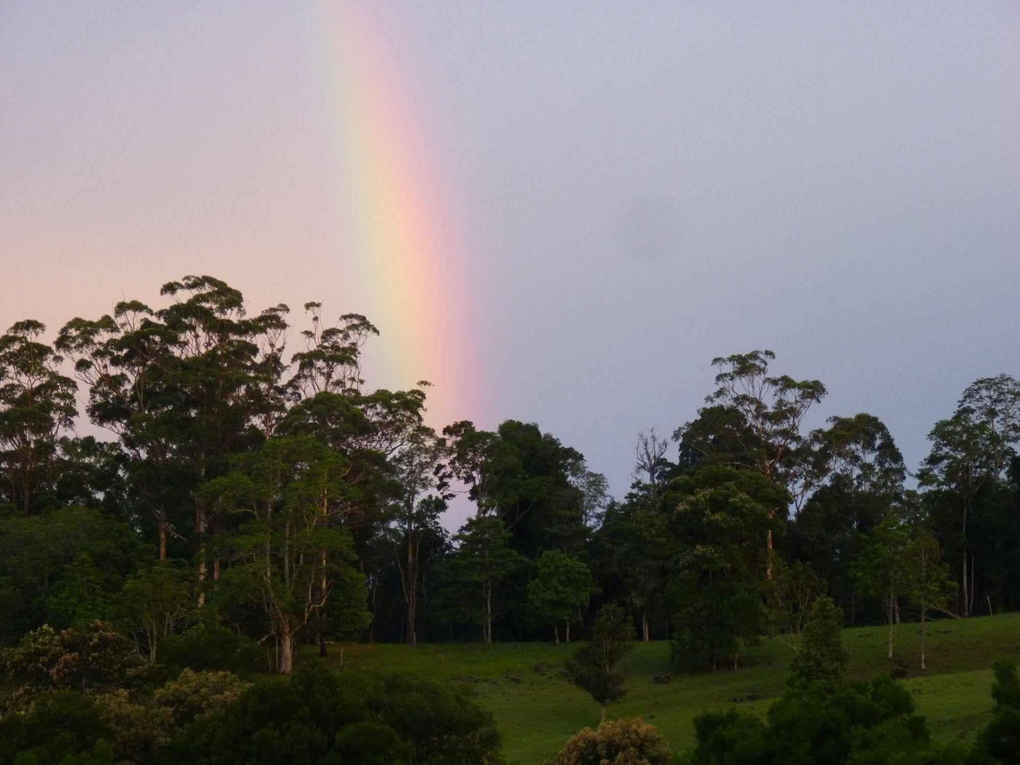 Bellthorpe Stays Maleny Exterior photo